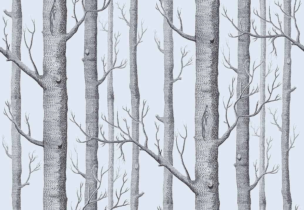 Обои Cole & Son New Contemporary 2 69/12150
