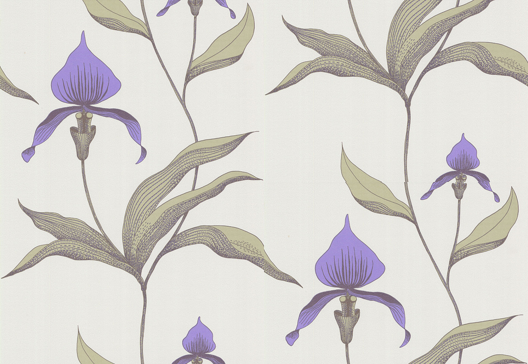 Обои Cole & Son Contemporary Selection 66/4024