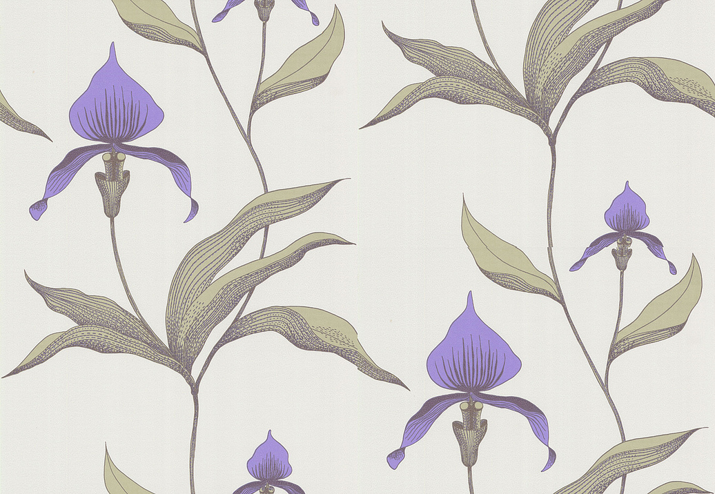 Обои Cole & Son Contemporary Selection 66/4024