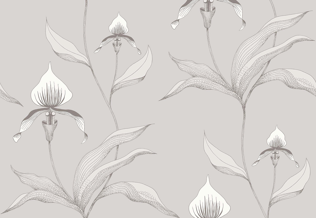 Обои Cole & Son Contemporary Restyled 95/10055