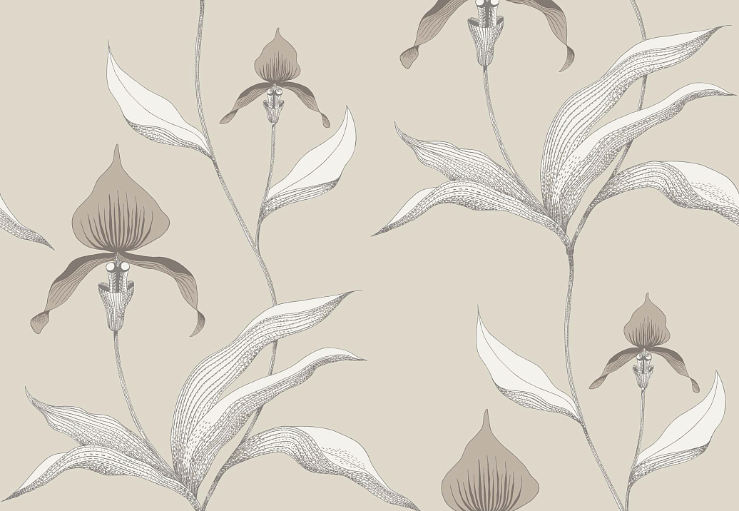 Обои Cole & Son Contemporary Restyled 95/10058