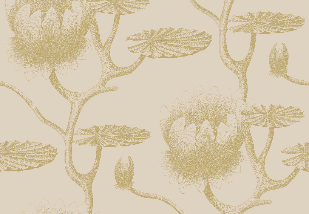 Обои Cole & Son Contemporary Restyled 95/4019