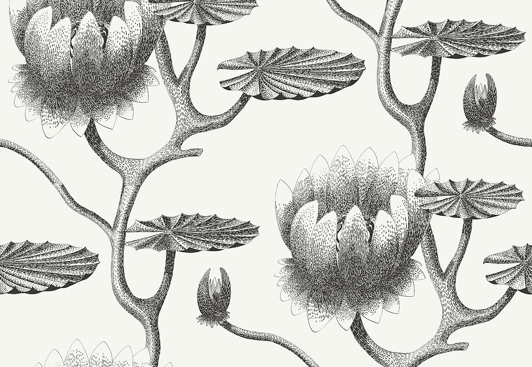 Обои Cole & Son Contemporary Restyled 95/4020