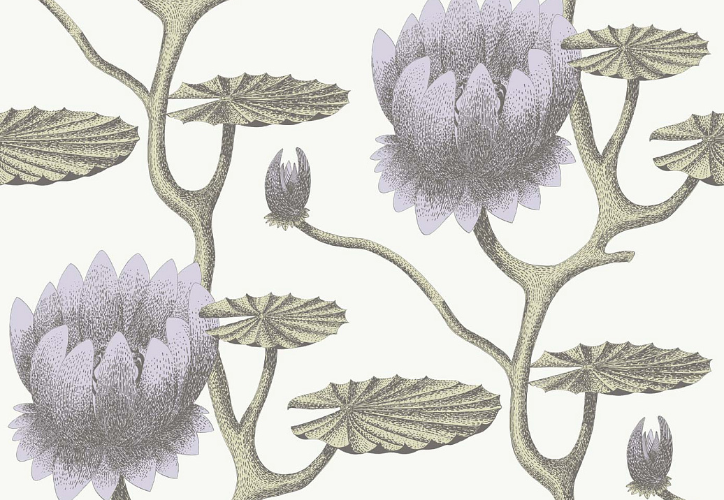 Обои Cole & Son Contemporary Restyled 95/4023