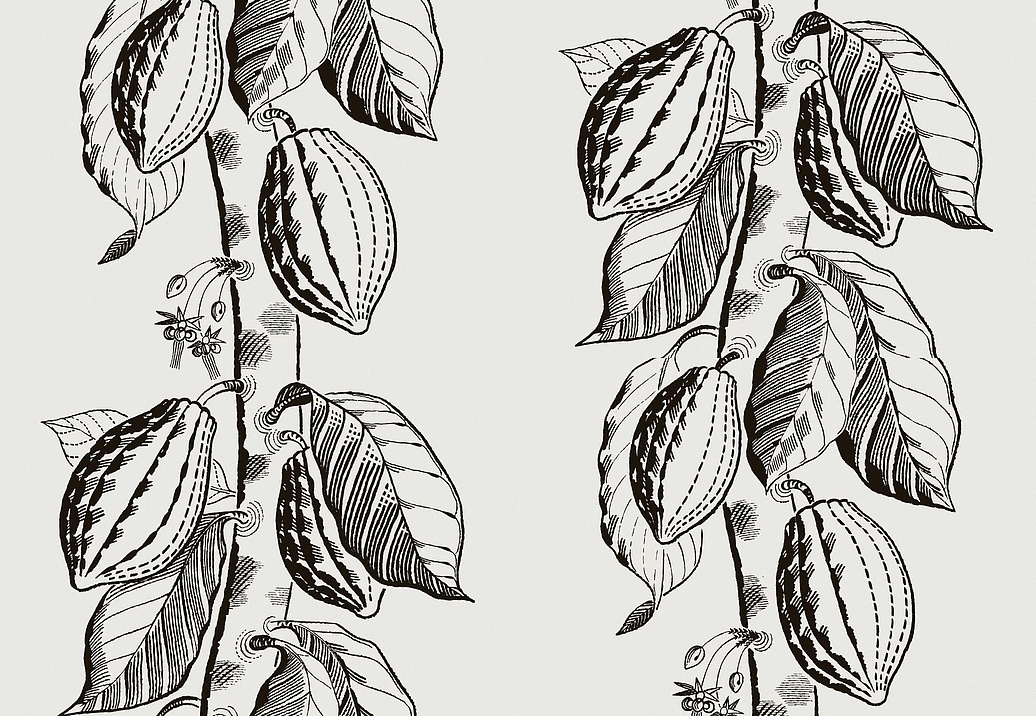 Обои Cole & Son Frontier 89/11043