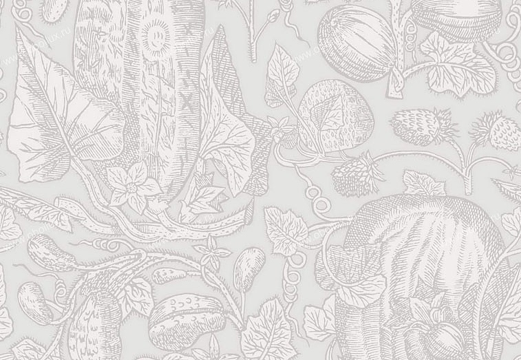 Обои Cole & Son Frontier 89/3010