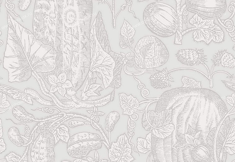 Обои Cole & Son Frontier 89/3010
