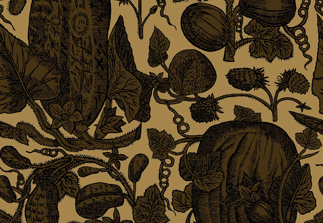 Обои Cole & Son Frontier 89/3011