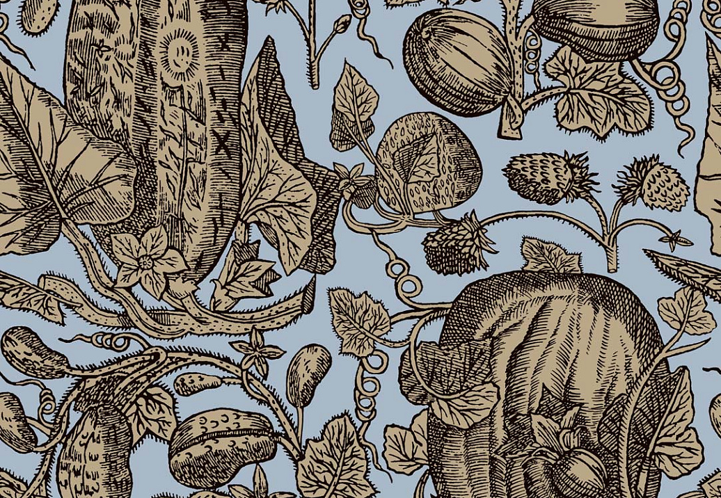 Обои Cole & Son Frontier 89/3012