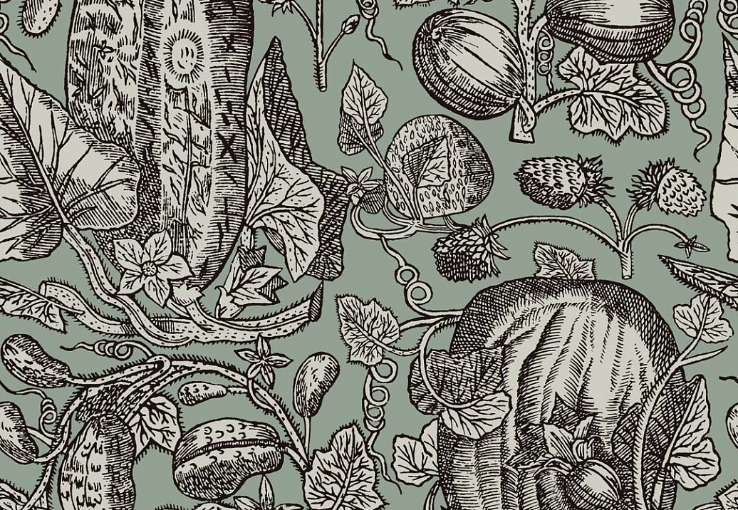 Обои Cole & Son Frontier 89/3013