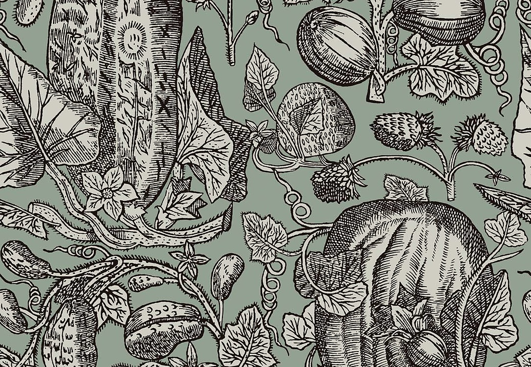 Обои Cole & Son Frontier 89/3013