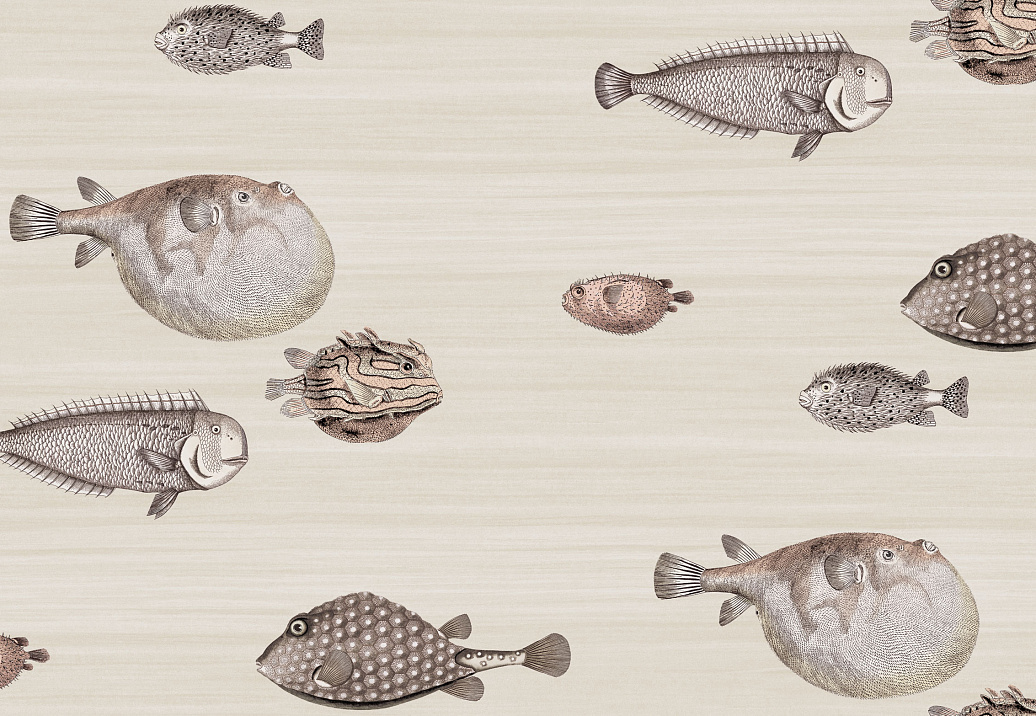 Обои Cole & Son Fornasetti II 97/10031