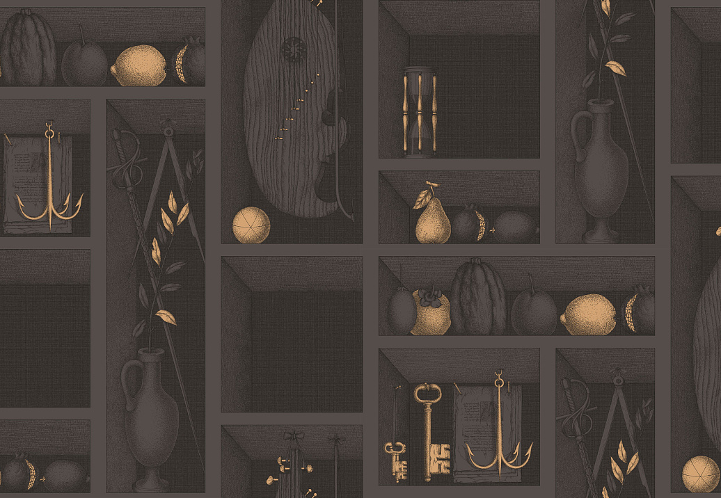 Обои Cole & Son Fornasetti II 97/11036