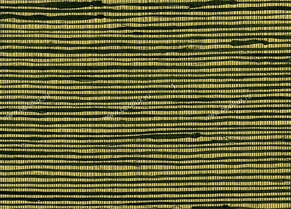 Обои Seabrook Elements of Nature NR112
