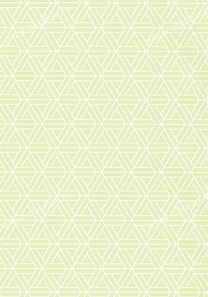 Обои Thibaut Geometric Resource T1881