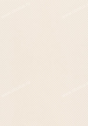Обои Thibaut Geometric Resource T1810
