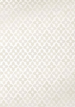 Обои Thibaut Geometric Resource T1856