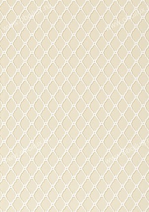 Обои Thibaut Geometric Resource T1861