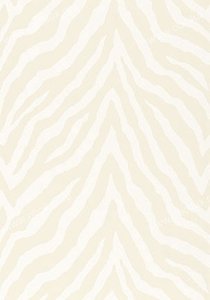 Обои Thibaut Geometric Resource T1866
