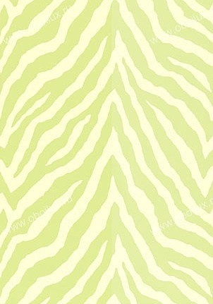 Обои Thibaut Geometric Resource T1867