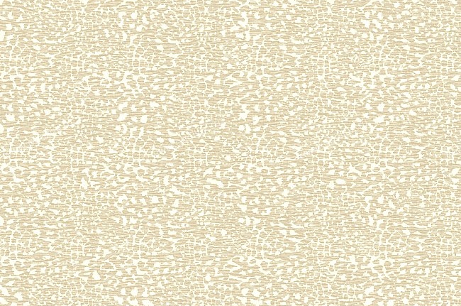 Обои York Carey Lind - Rhythm & Hues RC3756