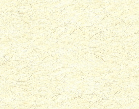 Обои York Carey Lind - Organic Finishes ZV6801W