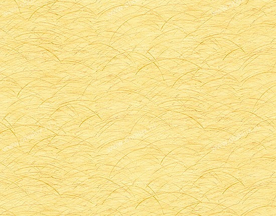 Обои York Carey Lind - Organic Finishes ZV6802W