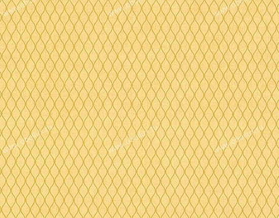 Обои York Carey Lind - Organic Finishes ZV6833W