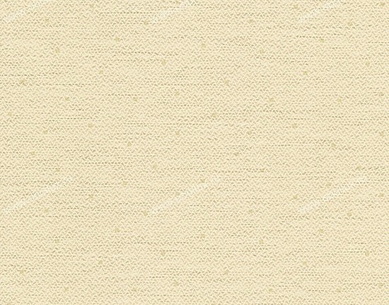 Обои York Carey Lind - Organic Finishes ZV6899W