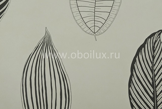 Обои Osborne & Little Folia W5793-02