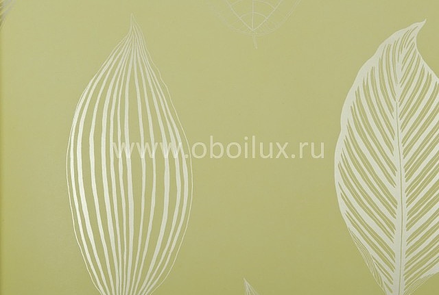 Обои Osborne & Little Folia W5793-05