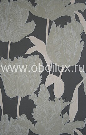 Обои Osborne & Little Hot House W5800-08