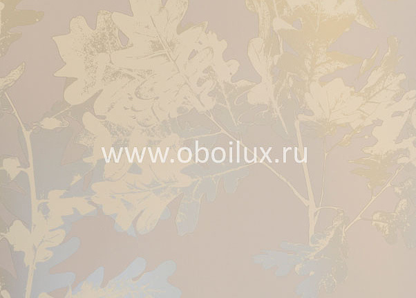 Обои Osborne & Little Walk in the Park W5875-01