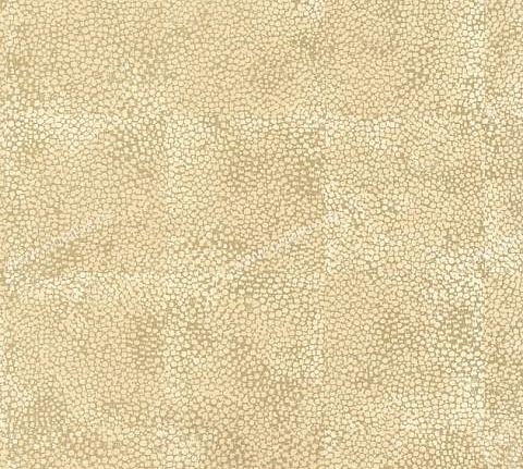 Обои Osborne & Little Wallpaper Album IV W5223-05