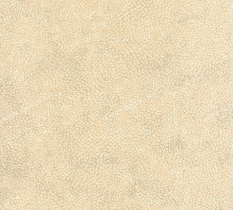 Обои Osborne & Little Wallpaper Album IV WSH01