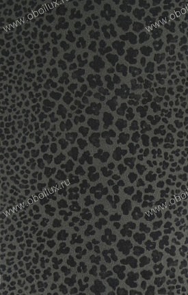 Обои Nina Campbell Sylvana NCW4026-03