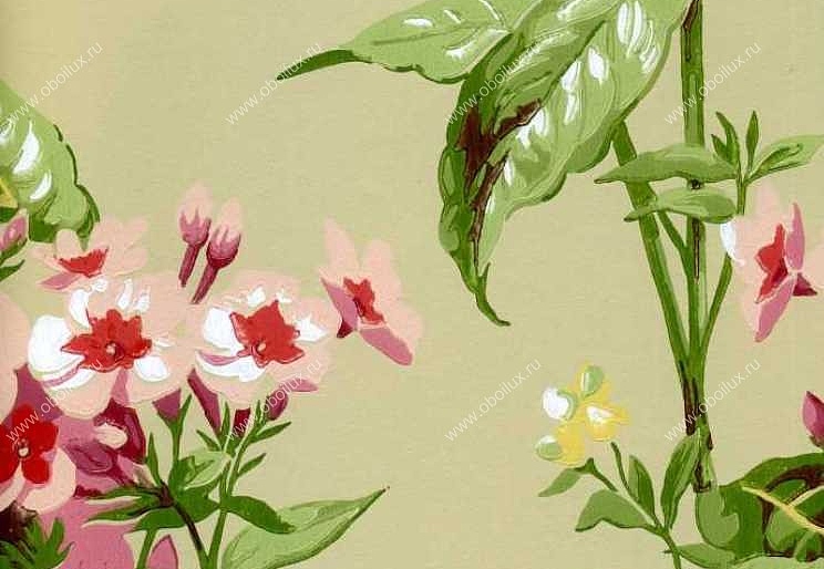 Обои York Ashford House - Flowers S.E. CF6312