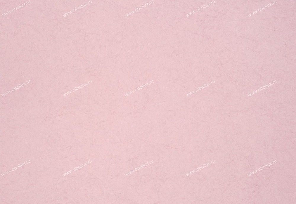 Обои Designers Guild Tsuga P502/43