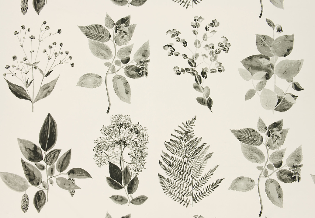 Ткань Designers Guild Kaori F2113/04
