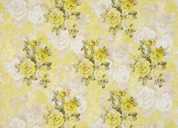 Ткань Designers Guild Campanula FQ033/02