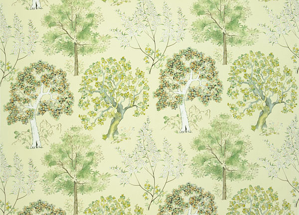 Ткань Designers Guild Rosa chinensis FQ042/01