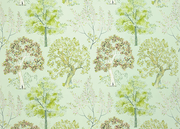 Ткань Designers Guild Rosa chinensis FQ042/02