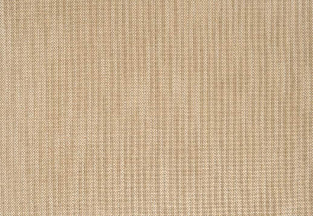 Ткань Designers Guild Ruzzini FT1333/08