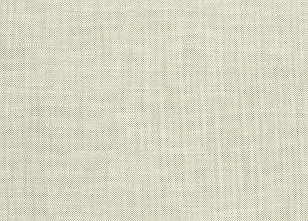 Ткань Designers Guild Molveno FT1333/21