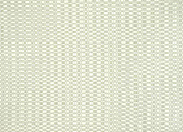 Ткань Designers Guild Molveno FT1863/01