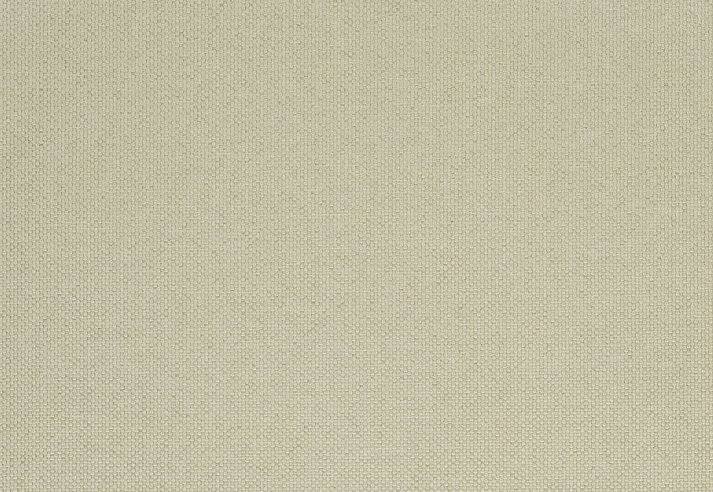 Ткань Designers Guild Cara FT1976/10