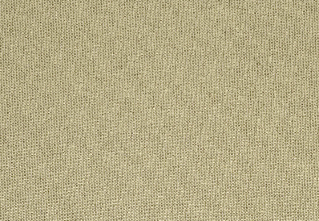 Ткань Designers Guild Cara FT1976/12