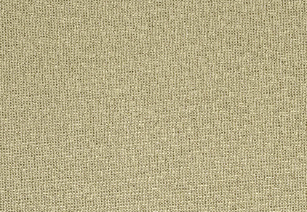Ткань Designers Guild Cara FT1976/12