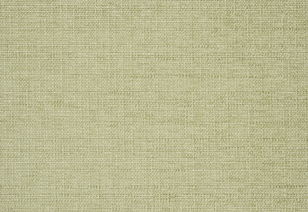 Ткань Designers Guild Morvern F2021/08
