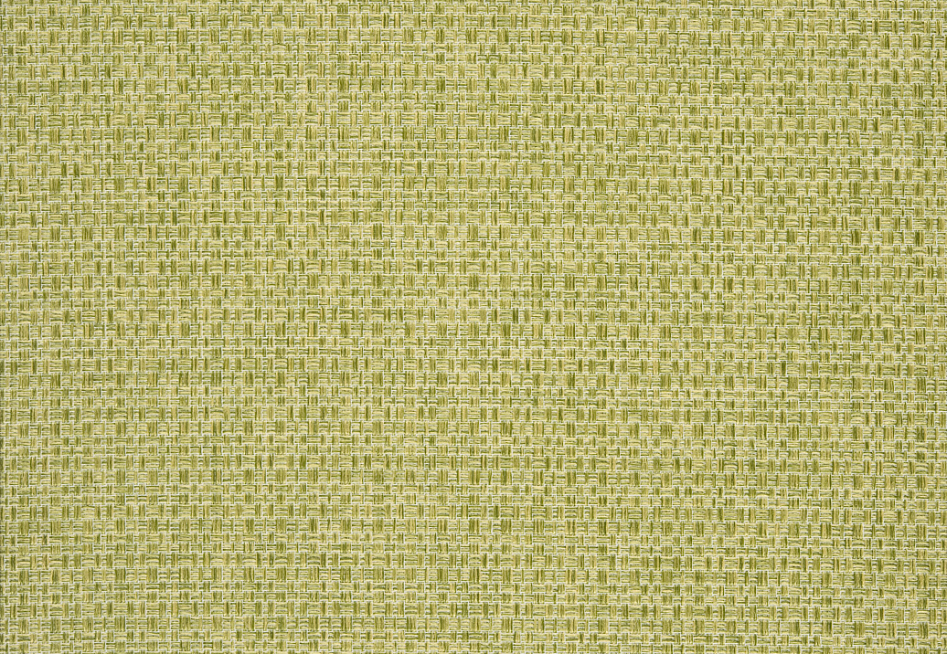 Ткань Designers Guild Bressay F2024/05
